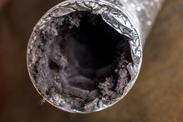 Best Ductwork Cleaning Services  in Lexington, MO